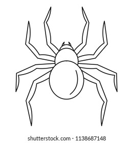 Black widow spider icon. Outline black widow spider vector icon for web design isolated on white background