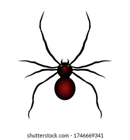 Araña de viuda negra. Icono de araña para web y aplicación. Ilustración vectorial en fondo aislado blanco. 