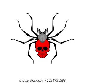 Black widow spider isolated. Poisonous dangerous spider.