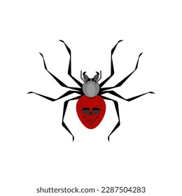 Black widow spider isolated. Poisonous dangerous spider.