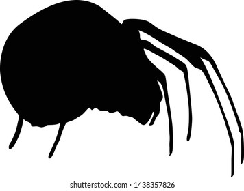Black Widow Spider, Latrodectus, Silhouette, North America