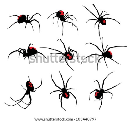 Similar – Image, Stock Photo Spider in glass Animal
