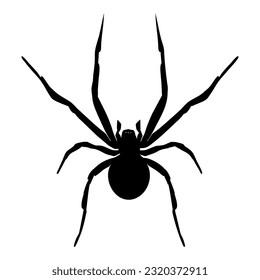 Black Widow Spider silhouette isolated on white background. Icon Vector illustration