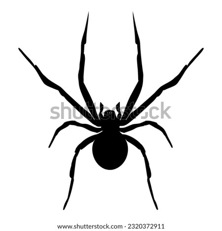 Black Widow Spider silhouette isolated on white background. Icon Vector illustration