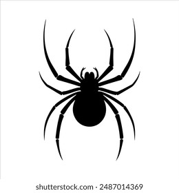Black widow spider silhouette on white background. Spider icon sign vector illustration design.