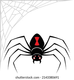 Black Widow Spider Vector Design, Spider Latrodectus mactans, arachnid with cobweb.