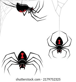 Black Widow Spider Vector Design, Spider Latrodectus mactans, arachnid with cobweb