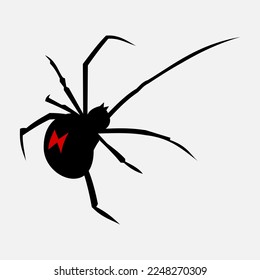 Black widow spider vector. Isolated deadly spider, black widow spider.