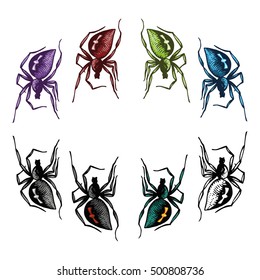Black widow spider vector signs.