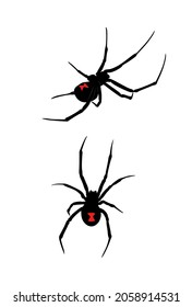 Black widow spiders can be identified by the colored, hourglass-shaped mark on their abdomens. They are the most venomous spider in North America