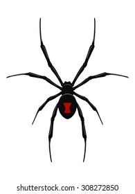 10,995 Black Widow Web Images, Stock Photos & Vectors | Shutterstock