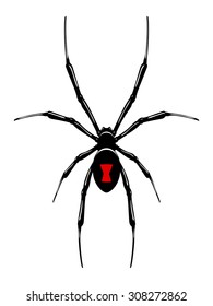 Black Widow Spider.Vector Isolated.