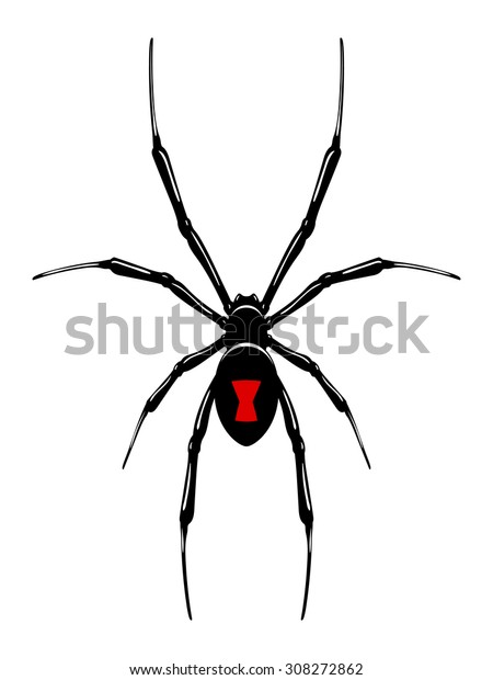 Black Widow Spidervector Isolated Stock Vector Royalty Free 308272862 0411