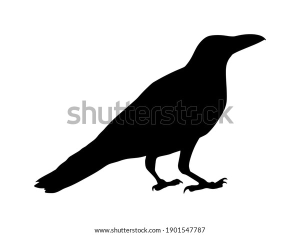 Black Wild Crow Silhouette Vector Stock Vector (Royalty Free ...