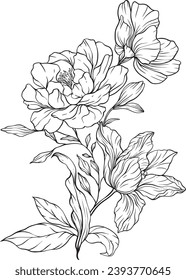 Flores salvajes negras dibujan una plantilla con el logotipo de la marca florista Feminine, marco con flores, ramas, plantas. Ilustración de vectores delineados decorativos. Elemento de diseño floral.