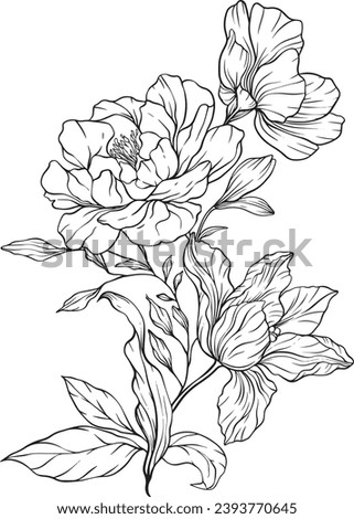 Black Wild Flowers Hand Drawn Floristic Feminine Brand Logo Template, Frame with Delicate Flowers, Branches, Plants. Decorative Outlined Vector Illustration. Floral Design Element.