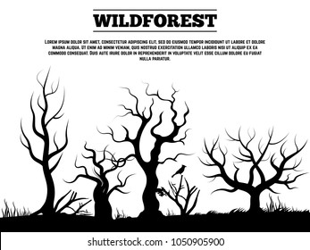 Black wild old forest landscape background banner and poster. Vector illustration