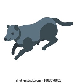 Icono de lobo salvaje negro. Isométrico del icono del vector del lobo salvaje negro para el diseño web aislado en fondo blanco