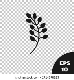 Icono de la hoja de color negro Willow aislado en fondo transparente. Ilustración vectorial