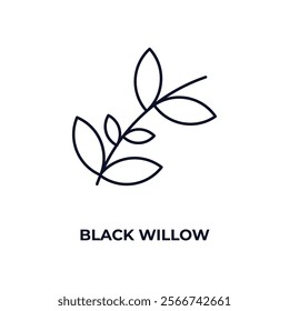 black willow outline icon. Linear vector from nature concept. Thin line black willow icon isolated on white background