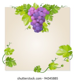 Black wine grapes with green leaf. EPS10 vector illustration