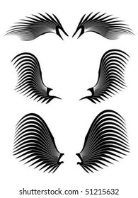 Black wing