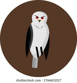 black winged kite with brown background
