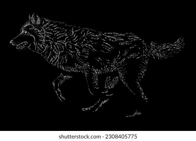 black wolf hand drawing vector isolated on black background.