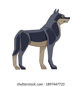 Black wolf or Timber wolf (Canis lupus) stands and looks into the distance. Cartoon character of a dangerous mammal animal. Vector flat style illustration isolated on white background.