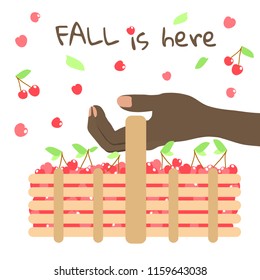 Black woman hand holding a basket of fresh cherries. Fall is here. Vector illustration. Flat style design. Concept harvest.