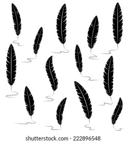 Black writting feathers isolated on white background