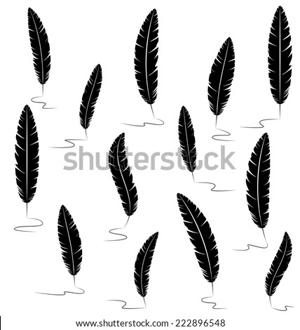 Black writting feathers isolated on white background