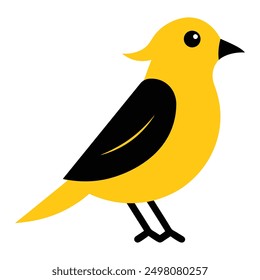 A black and yellow bird in white background. art and illustrator,