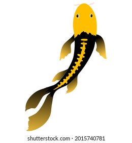 Black and yellow koi fish vector illustration with transparent background