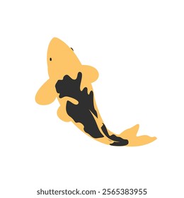 Black and yellow koi fish vector illustration with white background