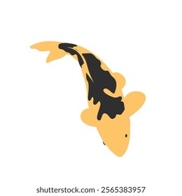 Black and yellow koi fish vector illustration with white background