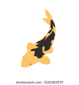 Black and yellow koi fish vector illustration with white background