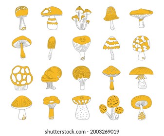 Black and yellow mushrooms set on white background. Hand drawing food vector illustration. Autumn clipart.