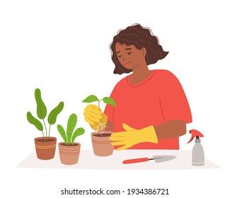 A black young woman in gardening gloves is planting a seedling in a pot. Plant care, home gardening, hobbies. Isolated on white vector illustration
