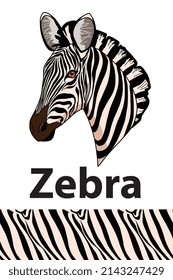 Black zebra head of animal living in nature with a print texture of the skin