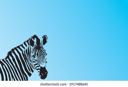 black zebra on white and blue background