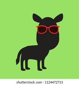 black zebra with sunglasses vector illustration