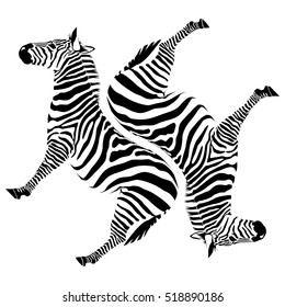 black zebras on white background