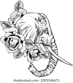 cabeza de elefante blanco y negro