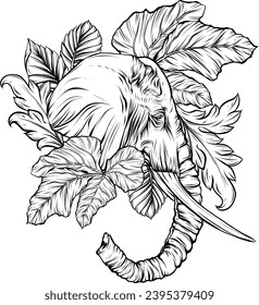 cabeza de elefante blanco y negro