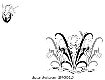black-and-white background with ornament of irises