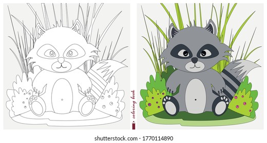 Black-and-white and color images for a color book. Contour drawing with children's themes. In a clearing among reeds and ferns sits a baby raccoon. For color books, children's prints, postcards.
