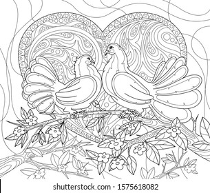 Black-and-white coloring antistress. Contour painting image of two pigeons on an Apple branch on the background of the heart. Love, birds. For anti-stress books, relax.