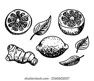 A black-and-white drawing featuring a whole lemon, sliced lemon wedges, a ginger root, and several leaves, symbolizing natural ingredients and a healthy lifestyle.