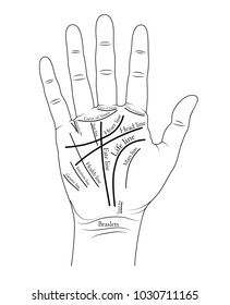 Black-and-white drawing of a hand with lines on palmistry.